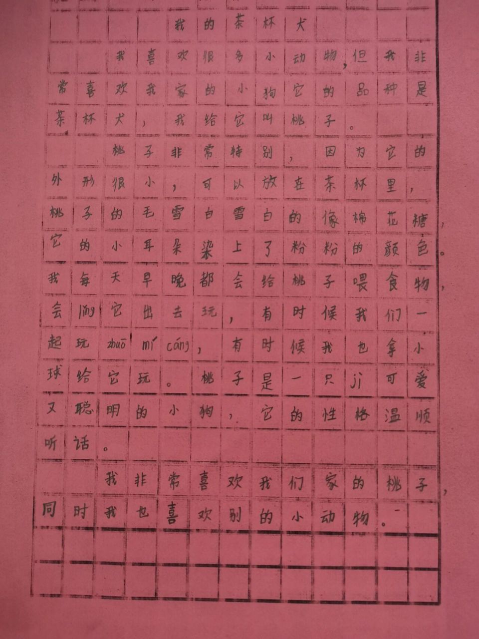 作文小记～ 二年级的宝贝喜欢喜欢茶杯犬,想象自己拥有了一只,写了