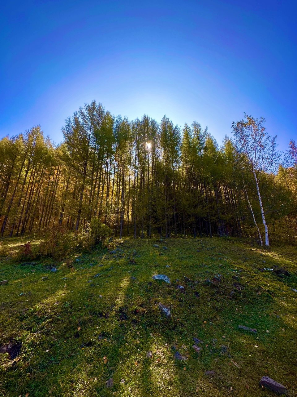 攻略 | 人少景美赤峰美林谷自驾赏秋指南 国庆去乌兰布统参加堵车环节