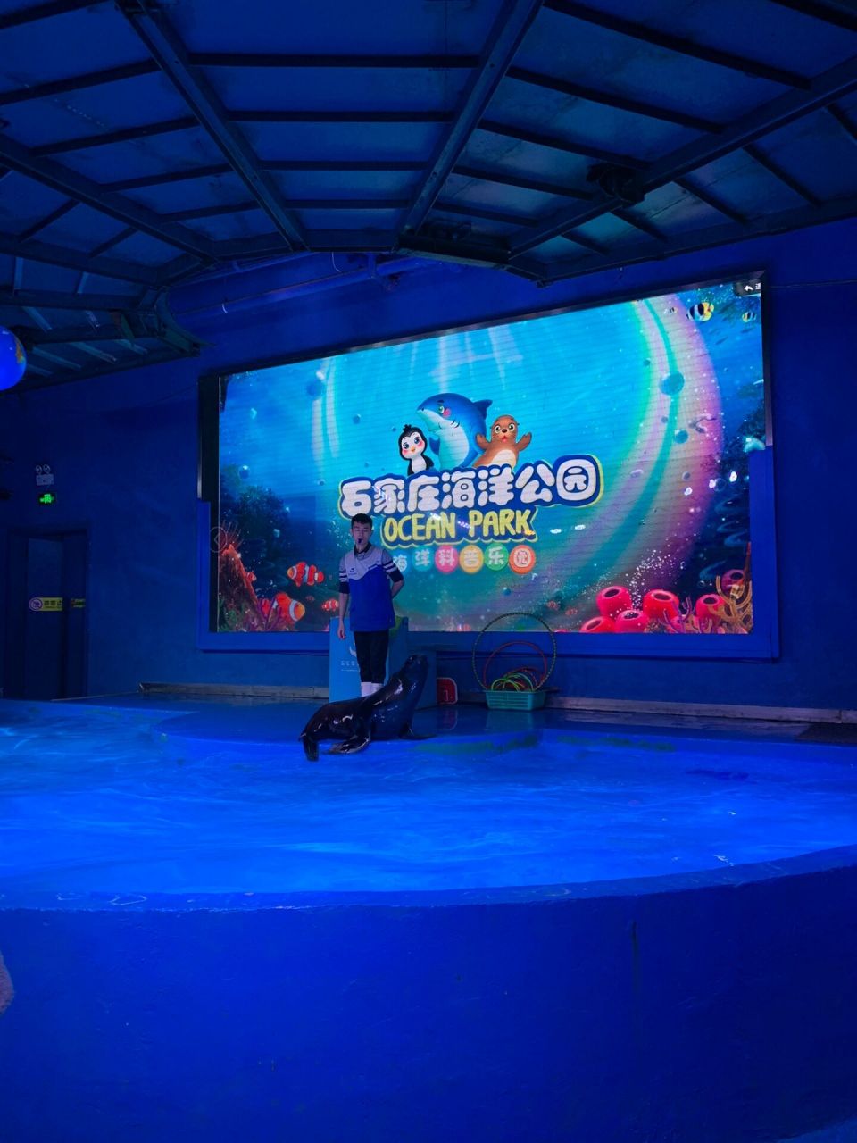 石家庄海洋公园~~ 分享一下2020年带娃去的石家庄海洋公园吧,好几年了