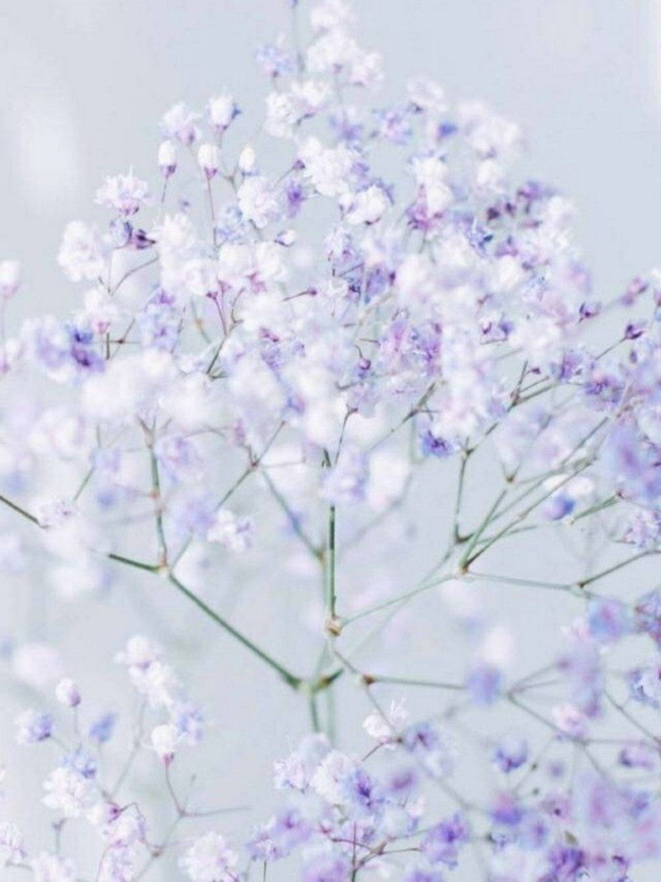 960_1280竖版 竖屏