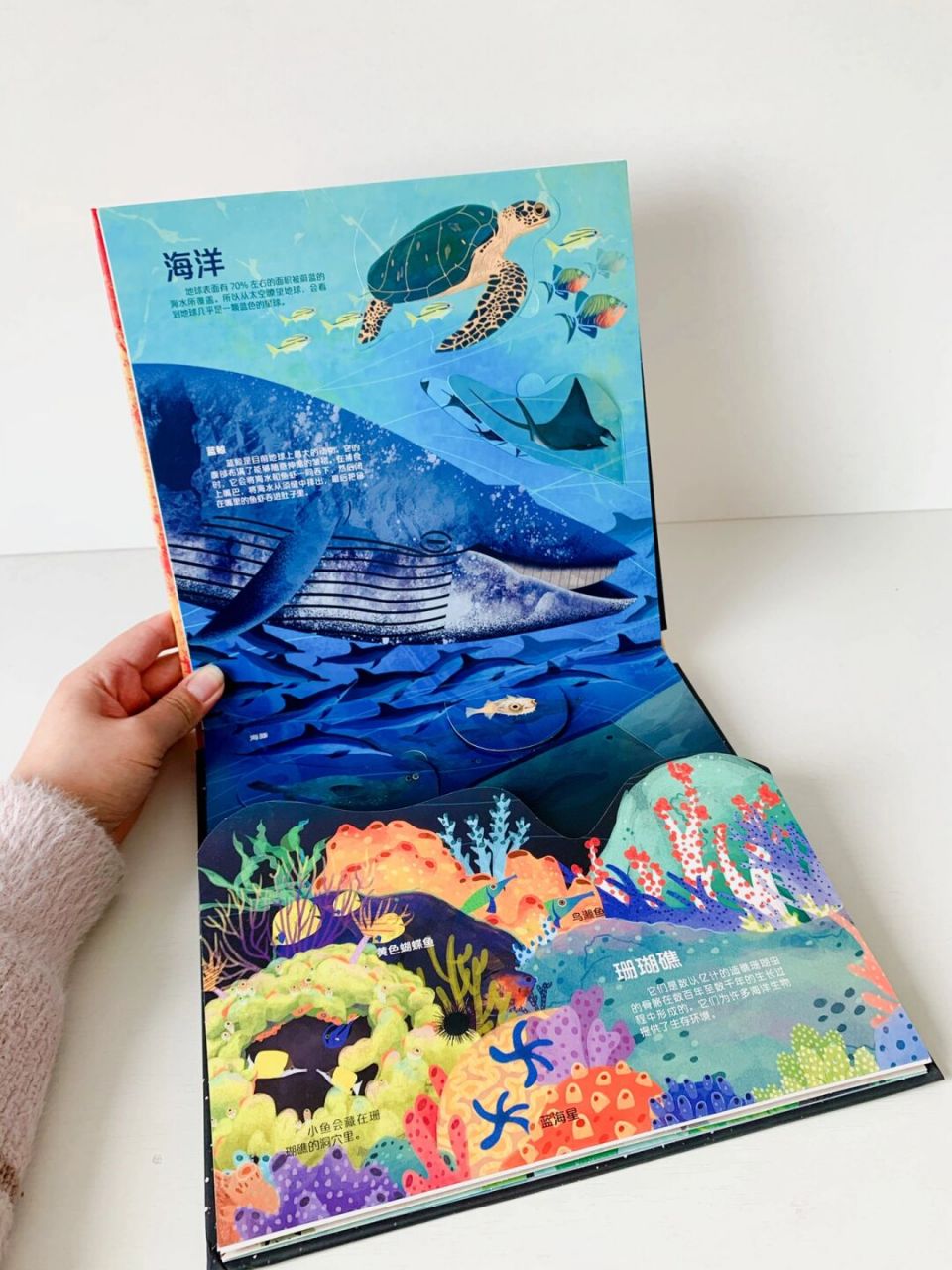 了解美丽地球 绘本名:我们的地球立体书 适合年龄:4岁➕ 	  我一直
