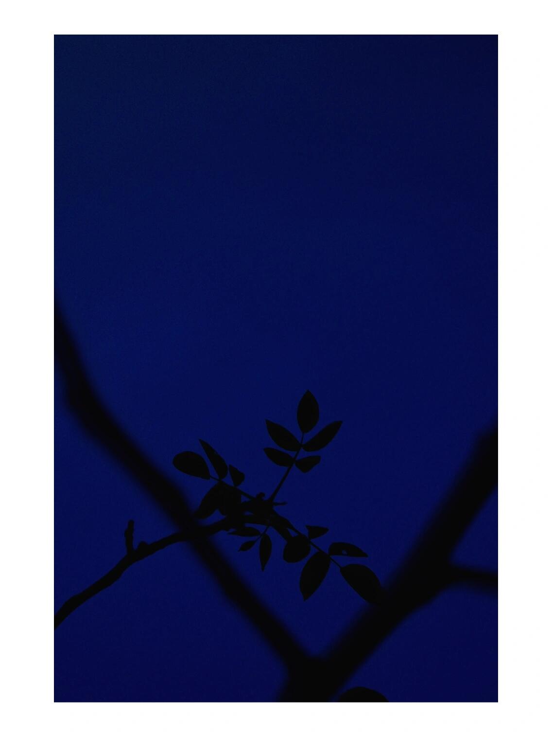 "小布尔乔亚的无病呻吟"  所表达的是种情绪片.