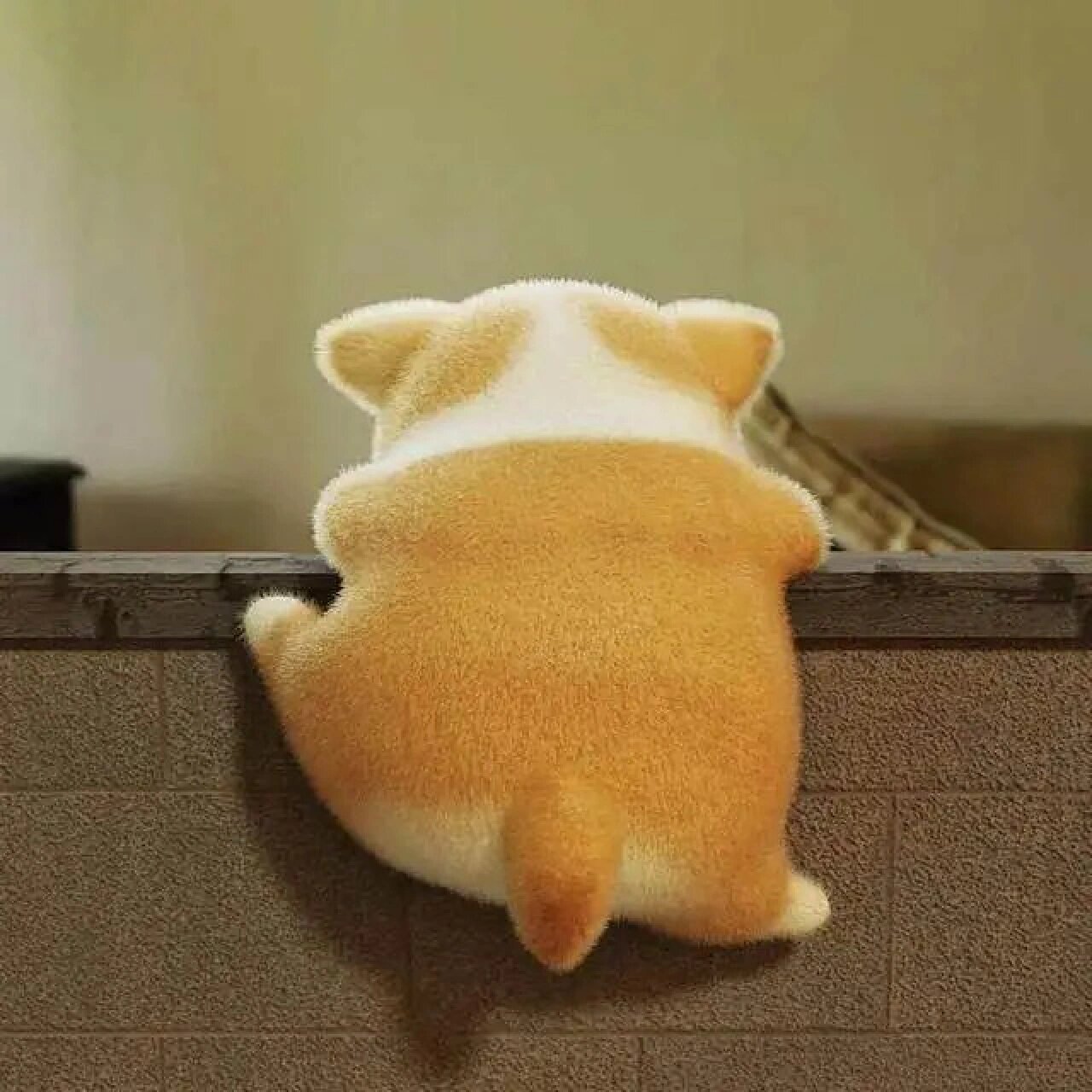 可爱萌萌的小短腿头像分享78 敲可爱的头像分享,一眼心动 	 图片原