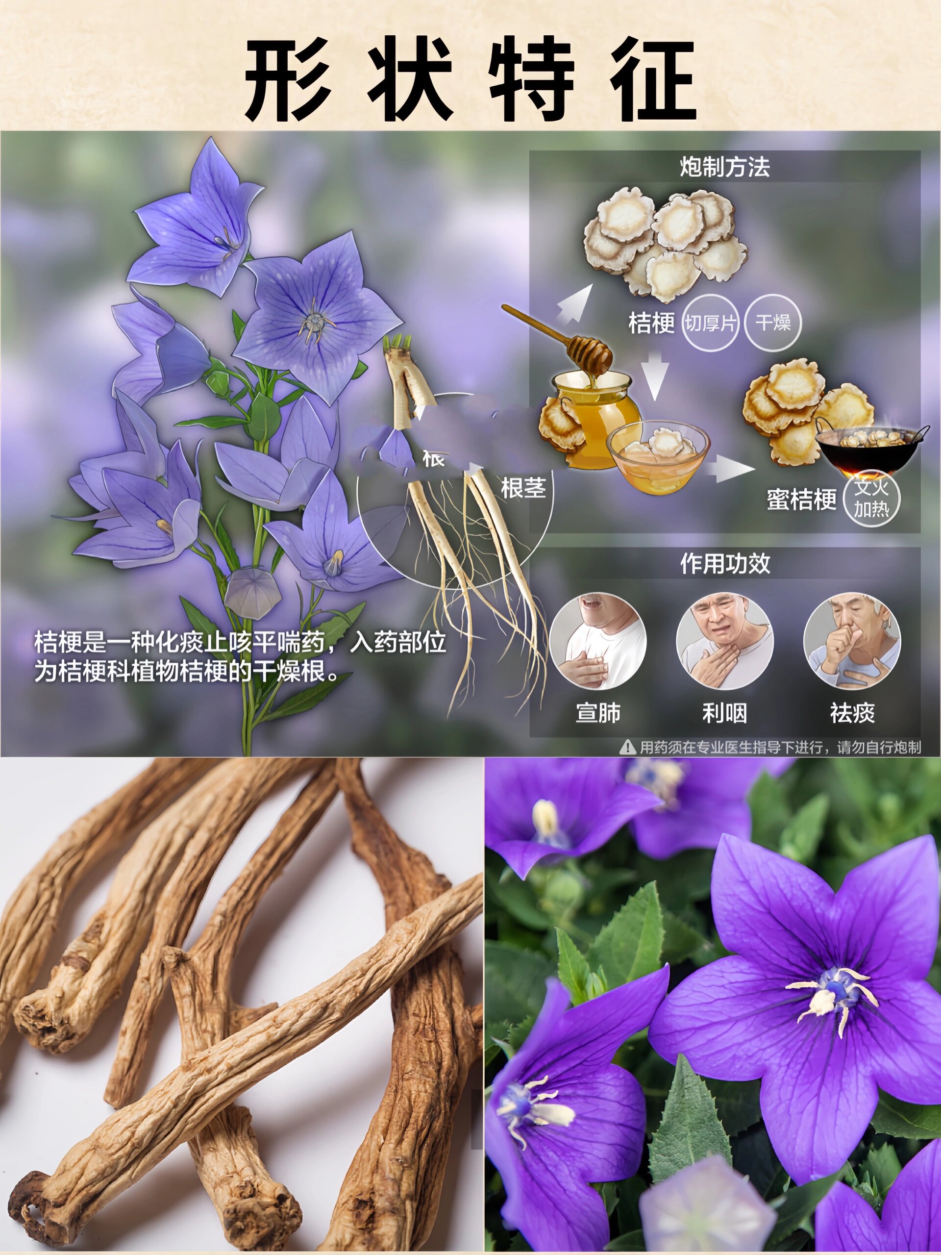 桔梗药材价格走势(桔梗药材价格走势分析)
