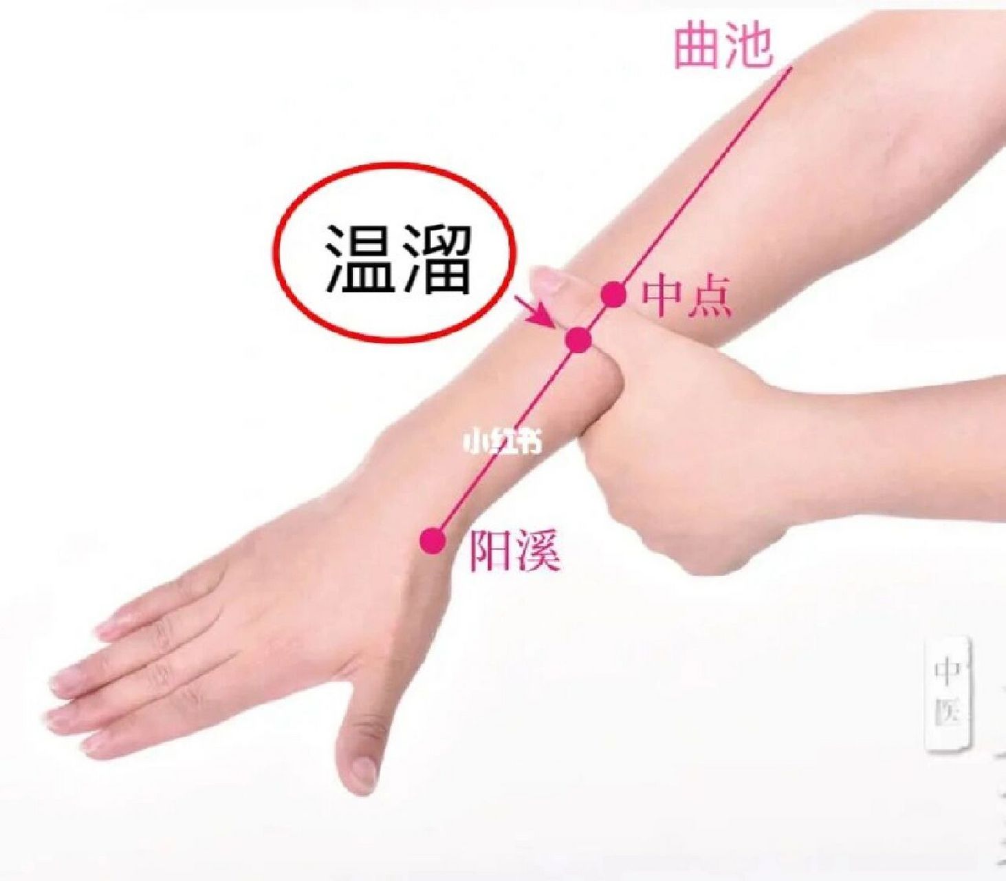 大肠经常用穴位～温溜穴 ～～抗癌路上朝花夕拾之二一八六 双穴,属手