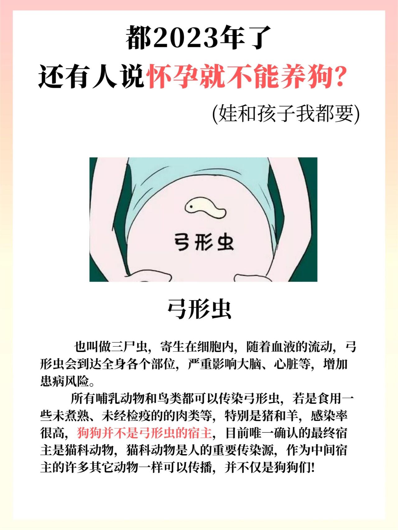 养狗会导致孕妇流产?养狗会导致孕妇感染弓形虫?