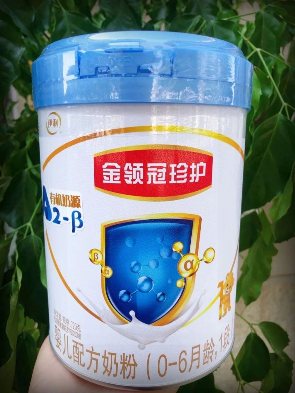 金领冠珍护黄盖和蓝盖的区别对比 哈喽,大家好,之前有宝妈问我金领冠