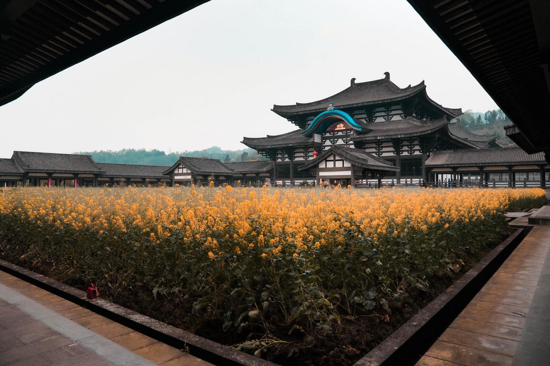宝藏景点 | 光明寺观光全攻略 94导航地址:光明寺 位于洪雅县柳江
