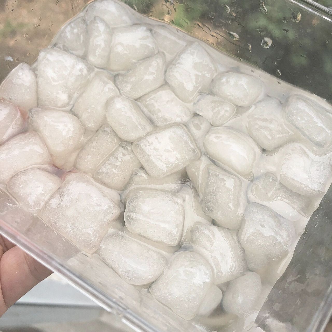 冬瓜薏做法 冬瓜薏又名阿达子,有的地方叫清心丸,脆脆弹弹配上糖水