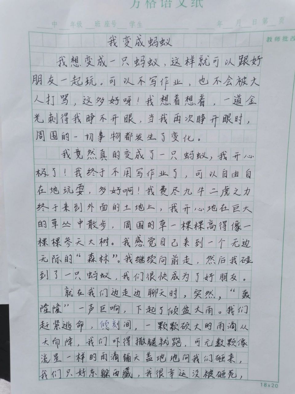 三年级下册第五单元习作《奇妙的想象》 三年级下册第五单元习作