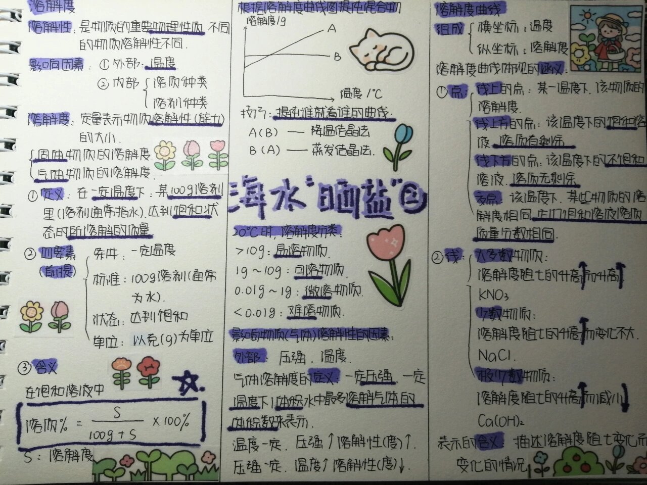 海水晒盐化学步骤图片