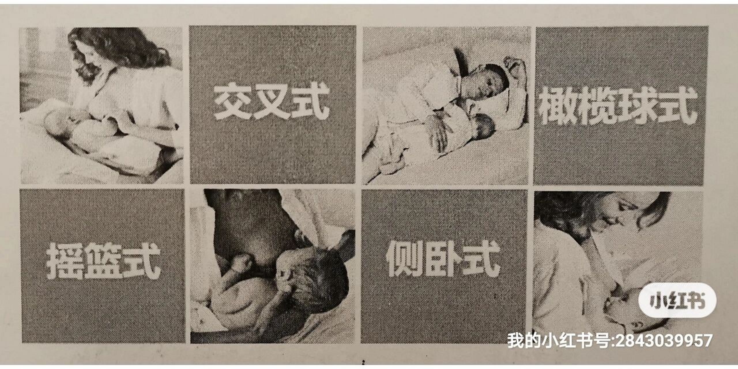 摇篮式,交叉式,橄榄式,侧卧式 7815摇篮是最普遍的,也是最容易