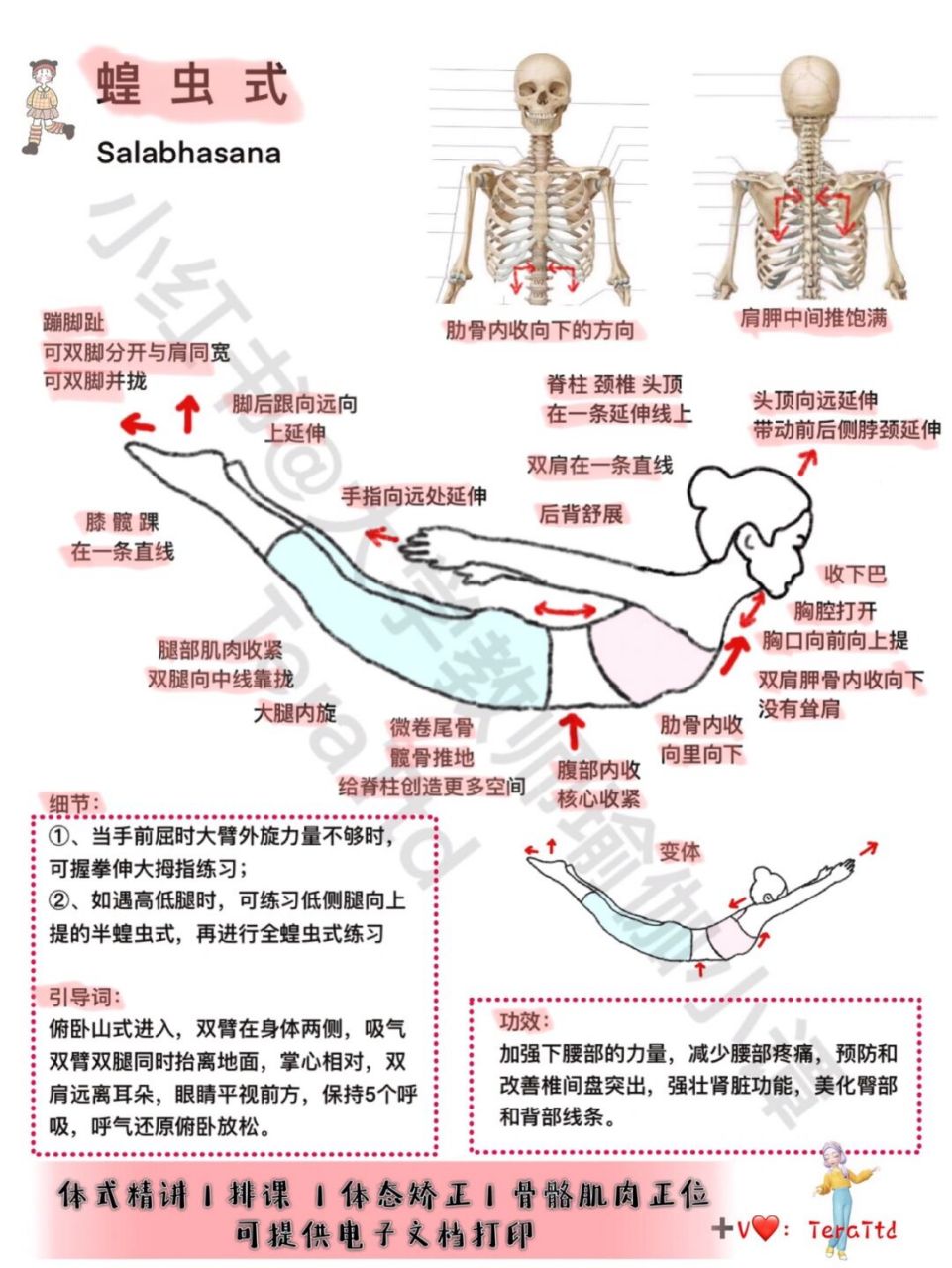 瑜伽蝗虫式动作讲解图片