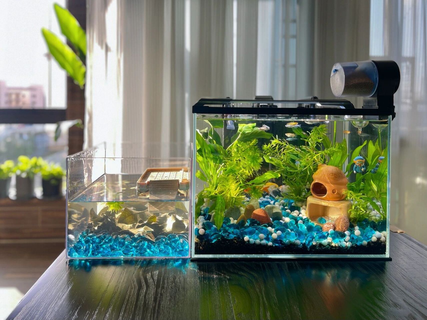 你的鱼缸～请查收～ 基本缸里的所有链接都在图片里啦～ 除了过滤是