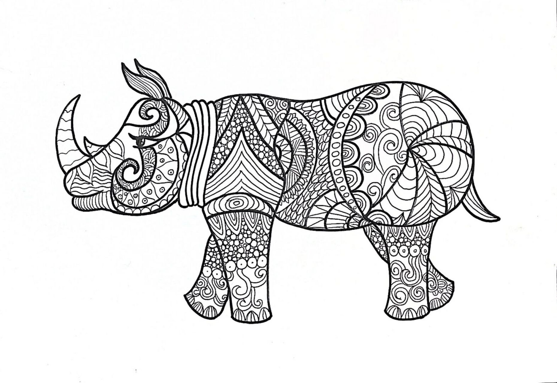 犀牛黑白线描儿童画 适合5-8岁儿童绘画 犀牛外形,里面的可以自己搭配