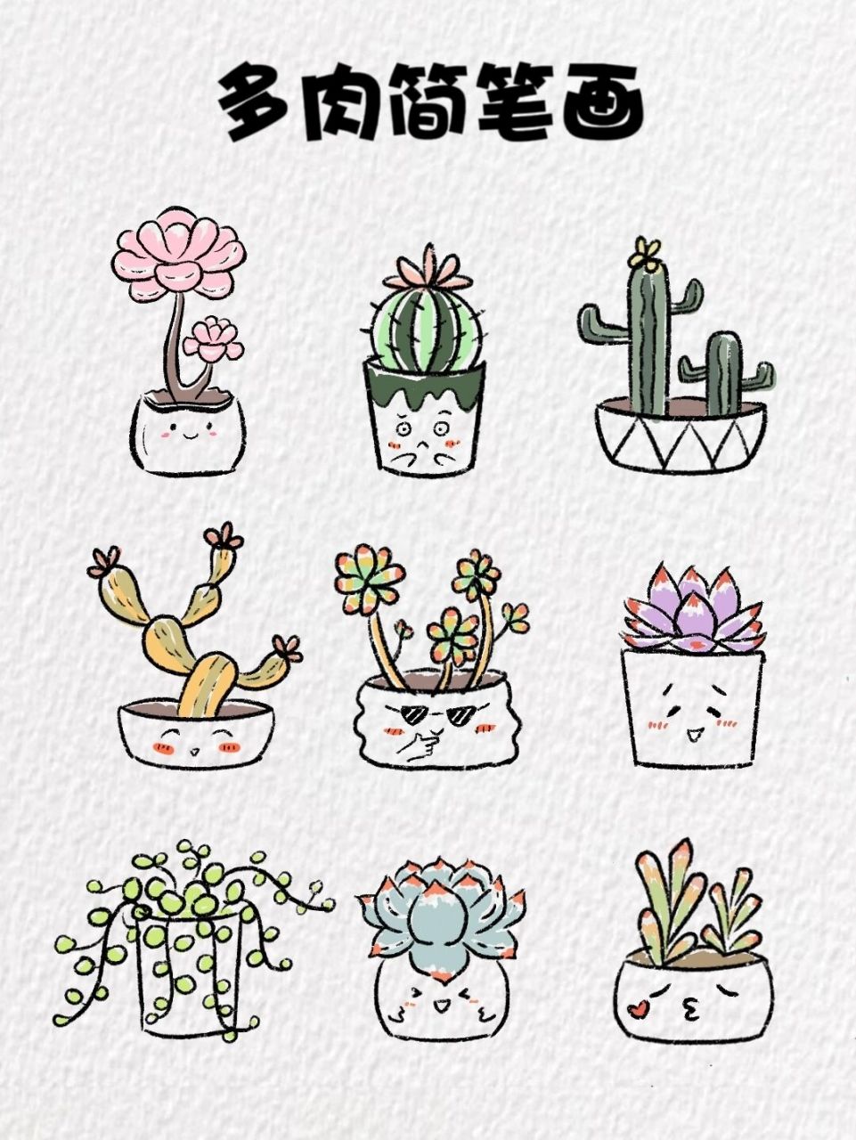 多肉简笔画～ 可可爱爱的多肉简笔画来啦 软件:procreate 笔刷:干油墨