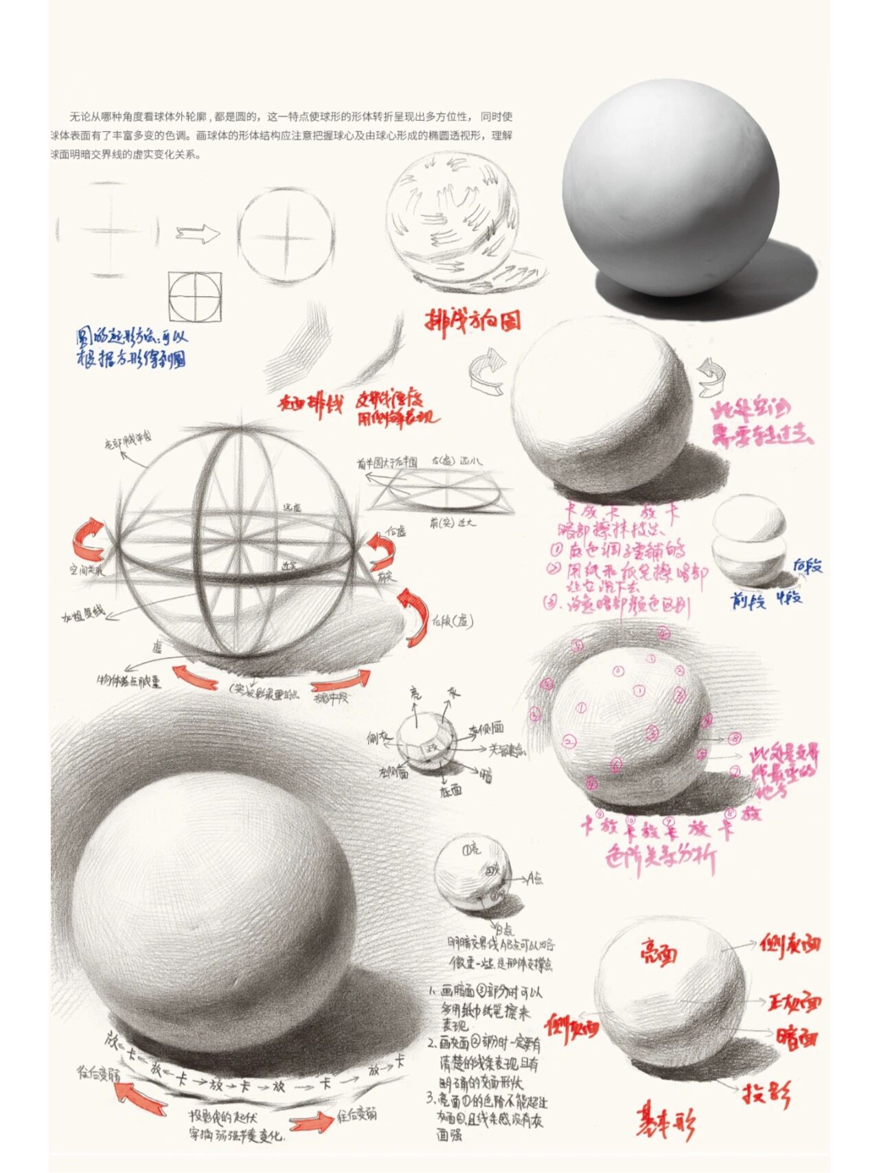 素描基础 球体结构详细分析