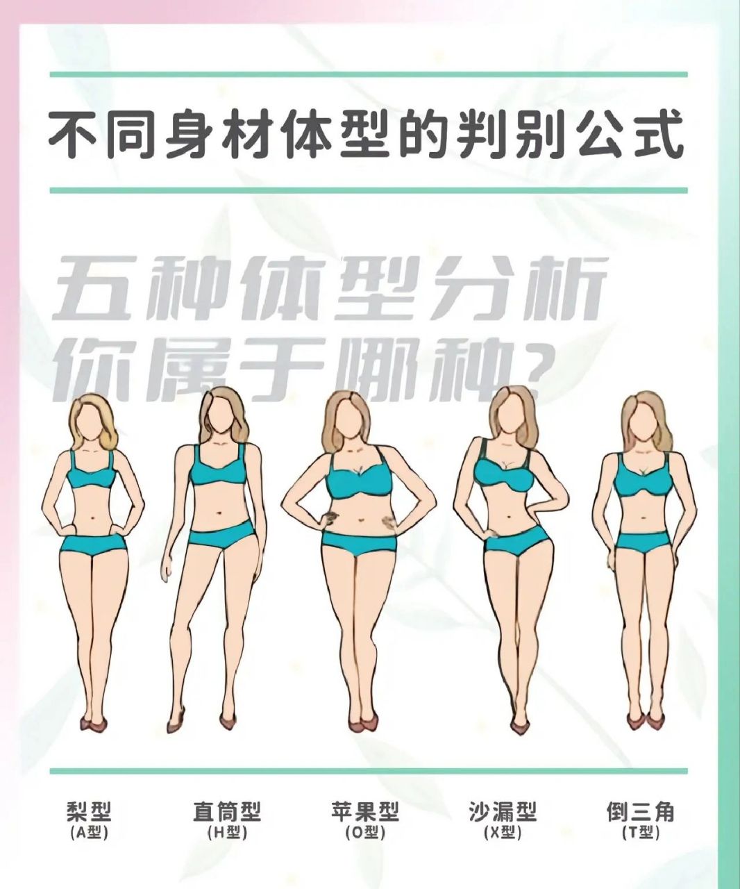 五种身材体型分析你属于哪一种 还有姐妹不知道怎么判断自己的身材是