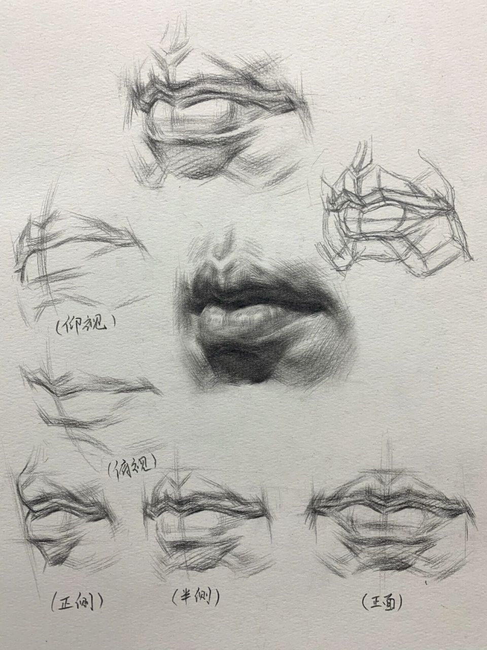 素描干货——嘴巴结构与步骤图