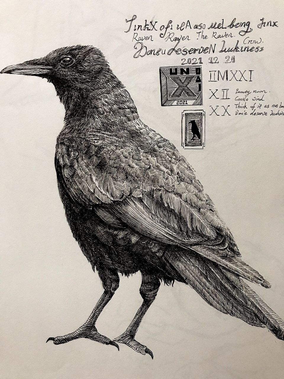 钢笔画·乌鸦 :从北方飞来的乌鸦带来诸神的智慧,游于凡间,引领人们