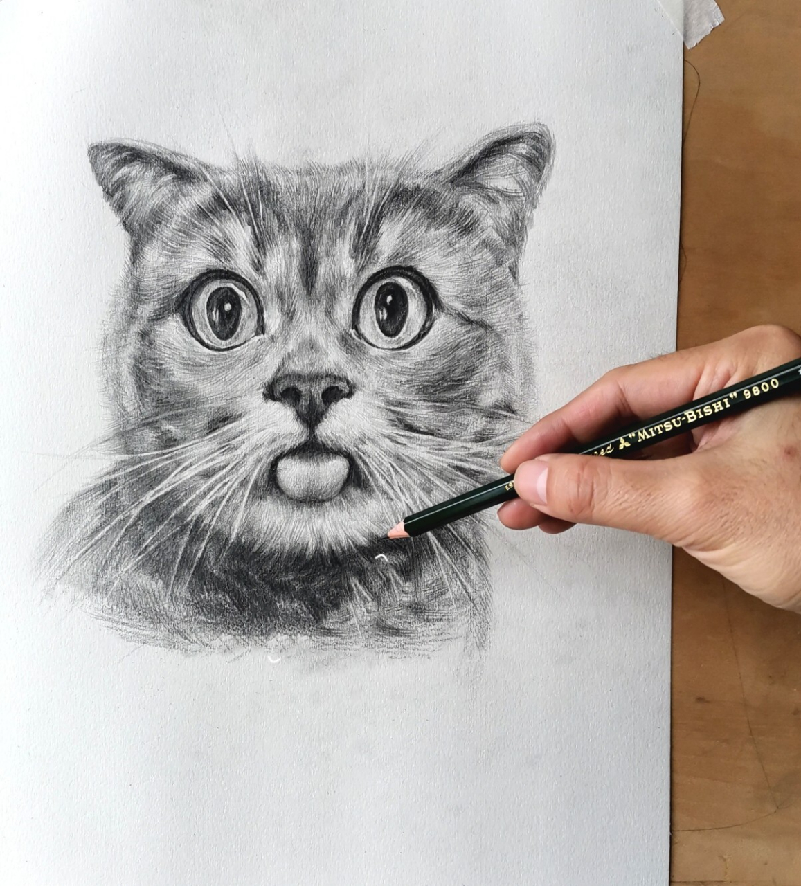 画了一只猫咪素描铅笔画(附教程) 许久没用铅笔画素描画了,今天尝试了