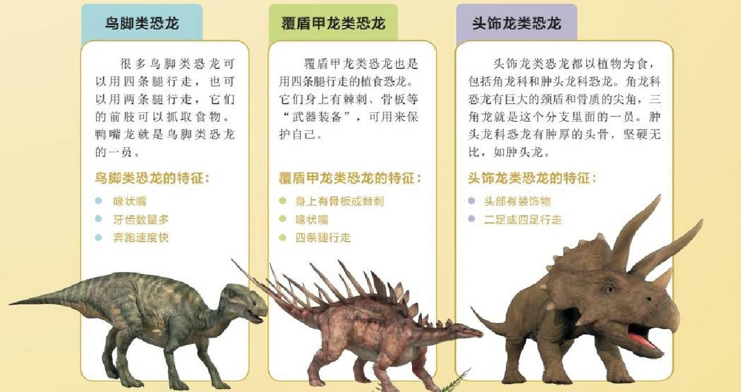 恐龙的种类资料图片