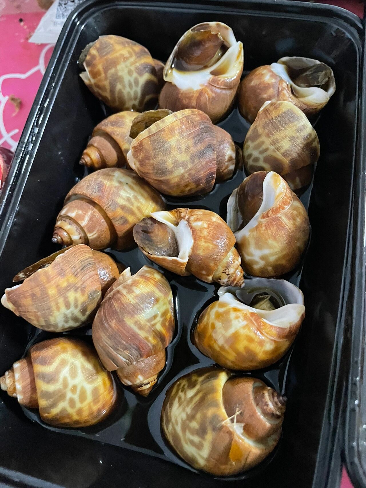 花螺真假分辨辨别买到了最便宜的深沟东风螺