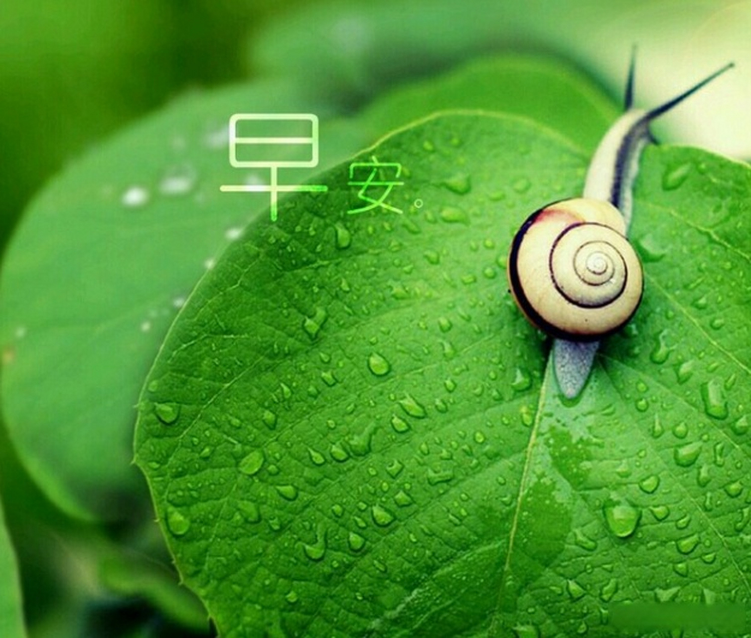 脚踏实地走好每一天,每一个现在,都是我们以后的记忆.早安