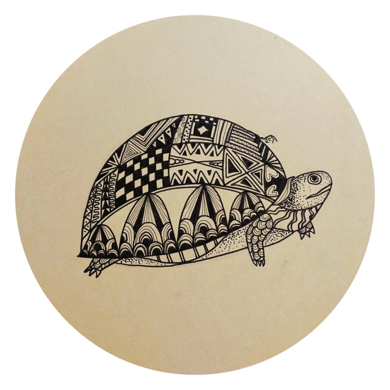 创意儿童画《海龟》