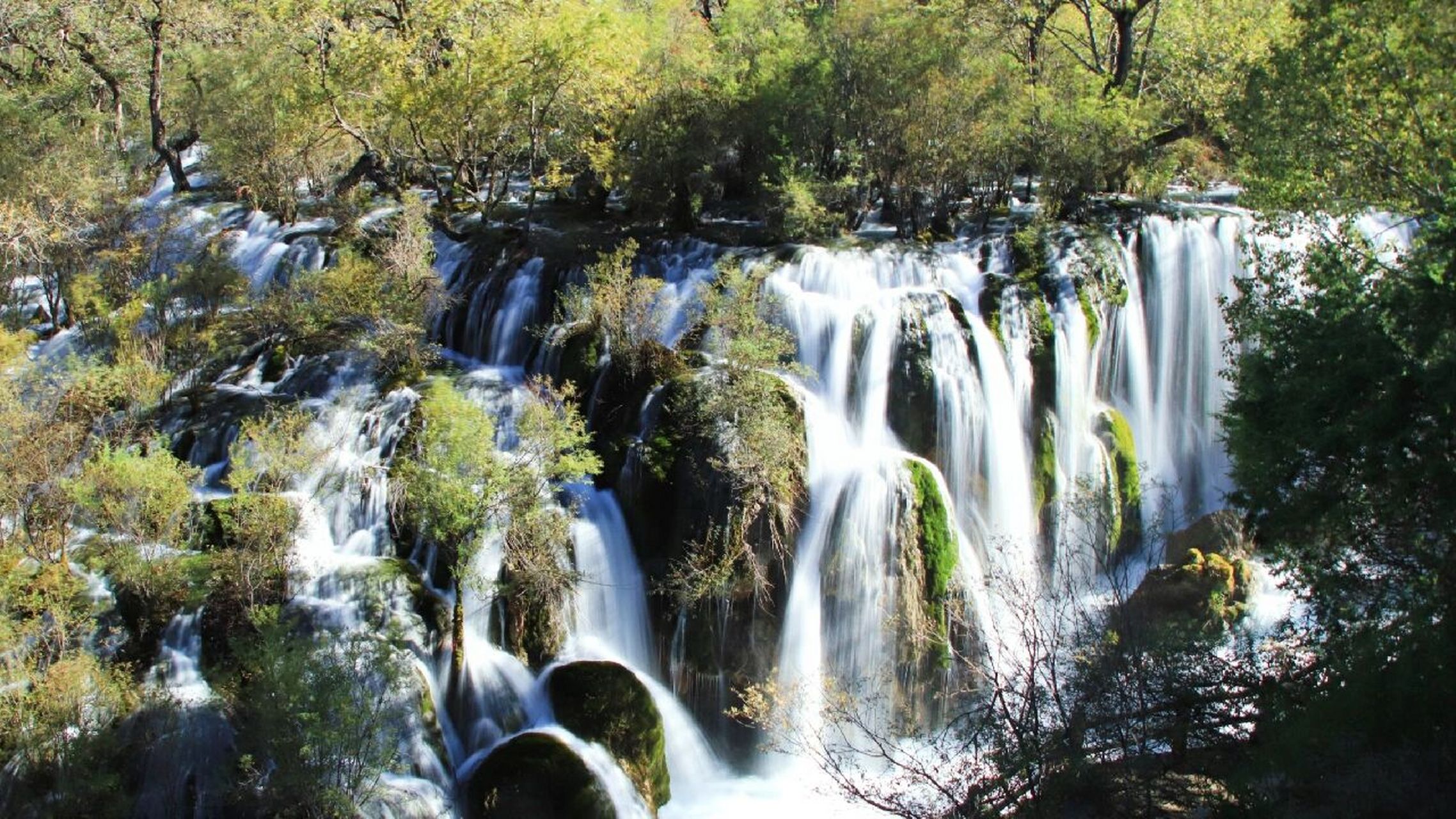 九寨沟树正瀑布图片