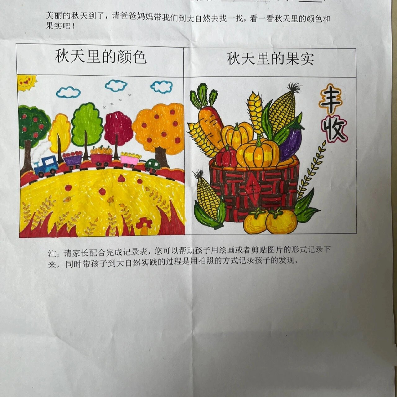 幼儿园秋天的第一份作业《多彩的秋天》