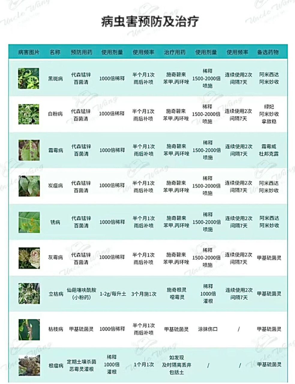 代森锰锌百菌清图片