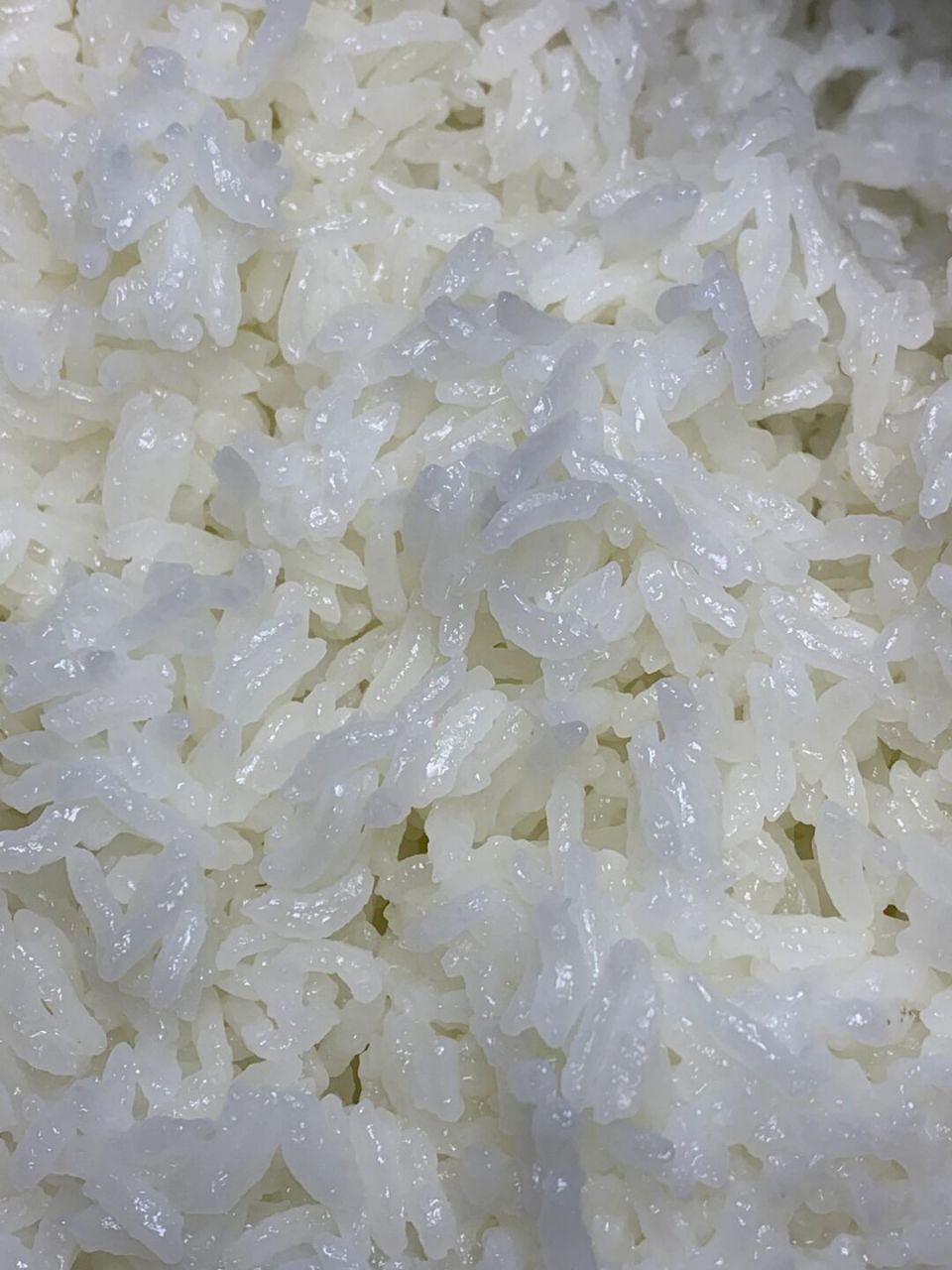 这米饭绝了7515油亮亮7515 每一粒都是一身鲜活,带着饱满的