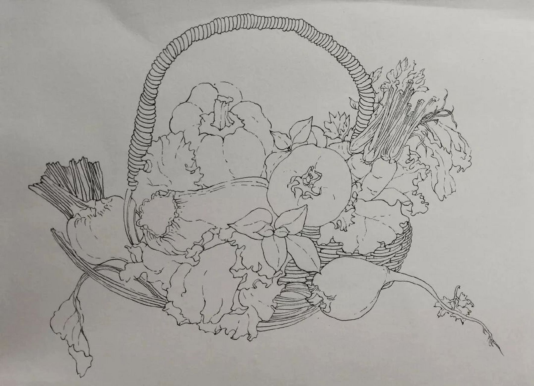打卡【28】菜篮子   中性笔 素描纸
