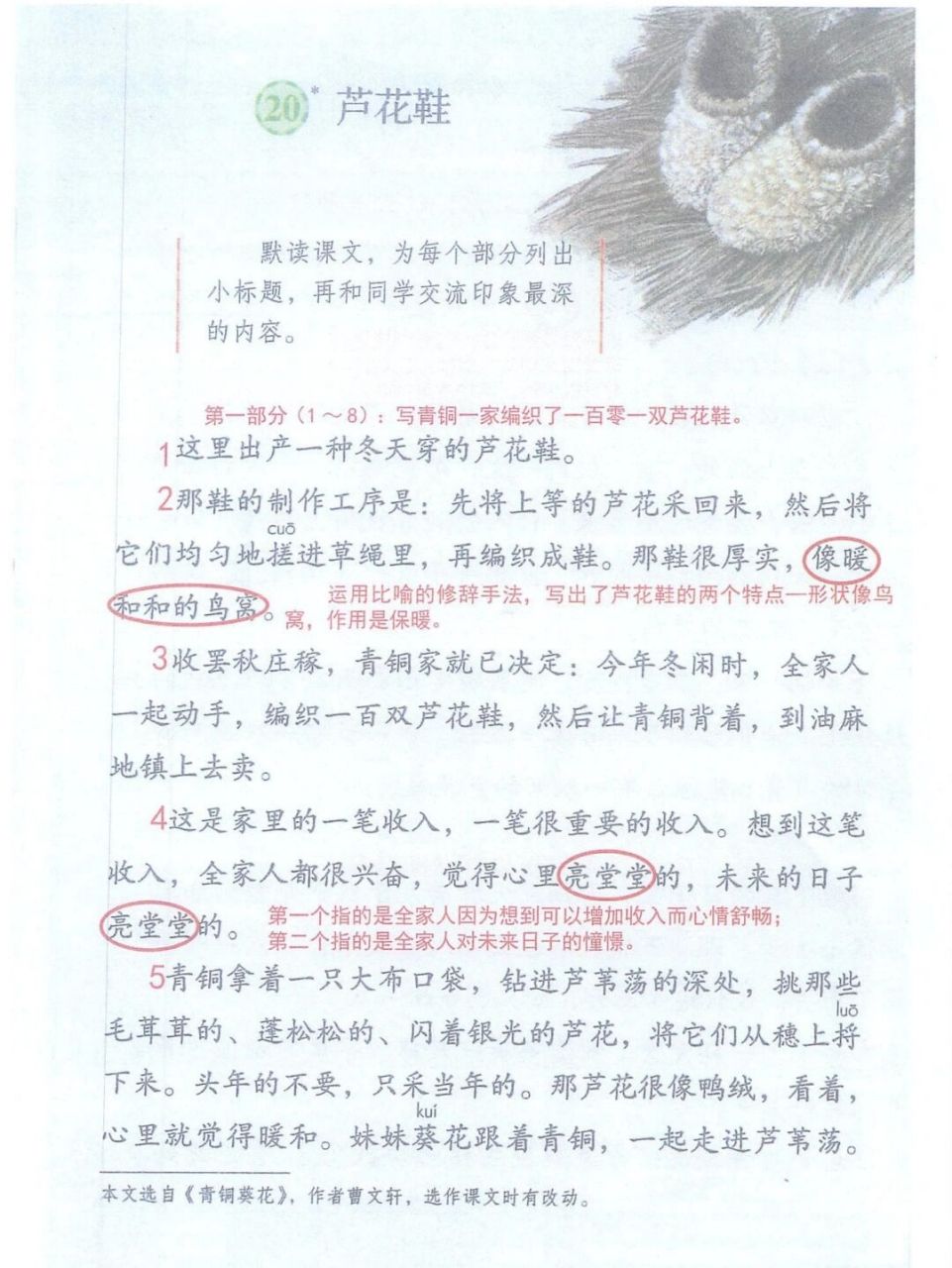 部编版四年级下语文20课芦花鞋课堂笔记 部编版四年级下语文20课芦花