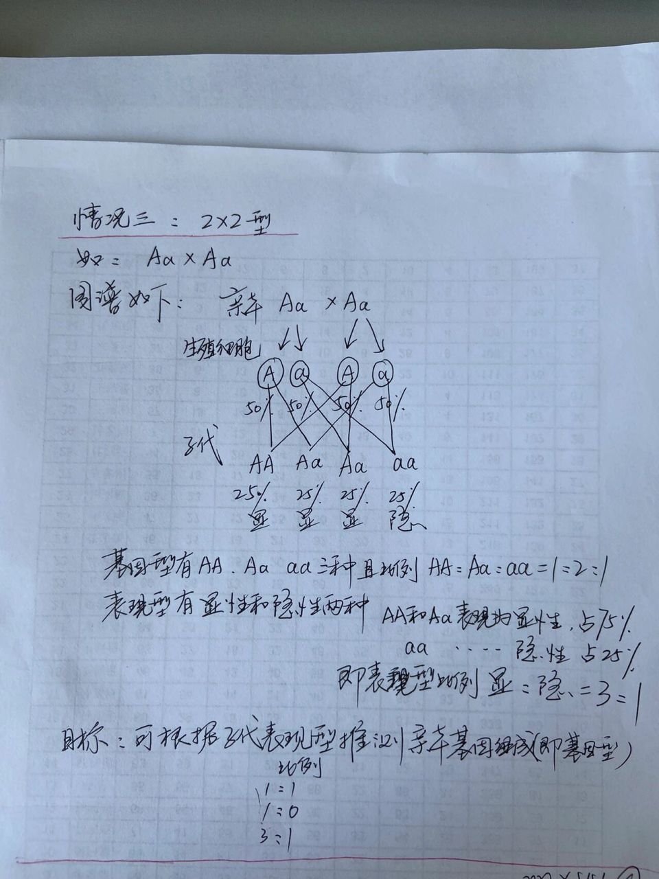 初二生物遗传图解六个图片