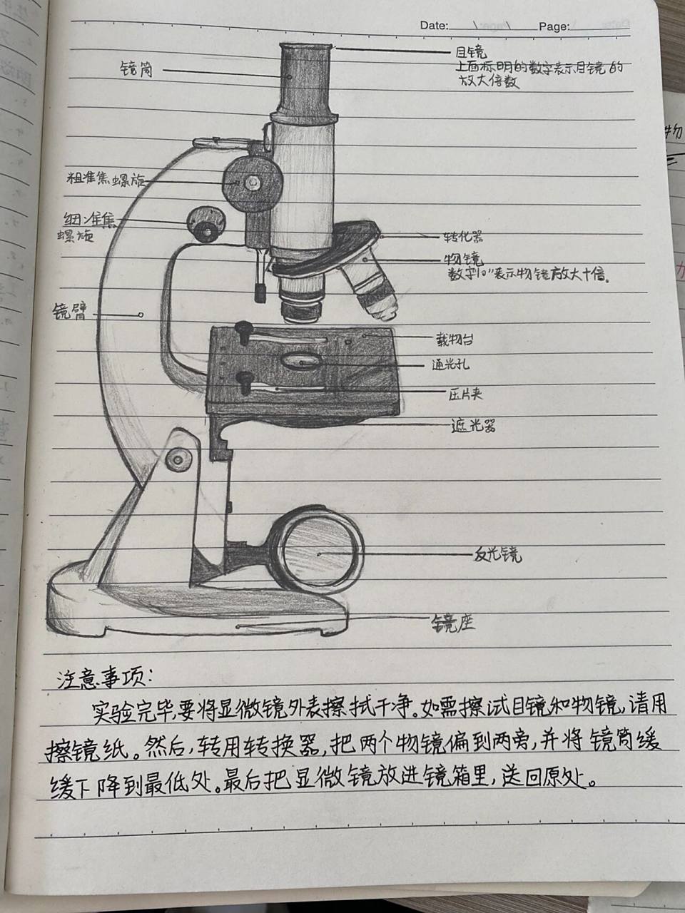 显微镜 让宝们画画显微镜,果然她们画起画来都很认真哈～ 看这画的