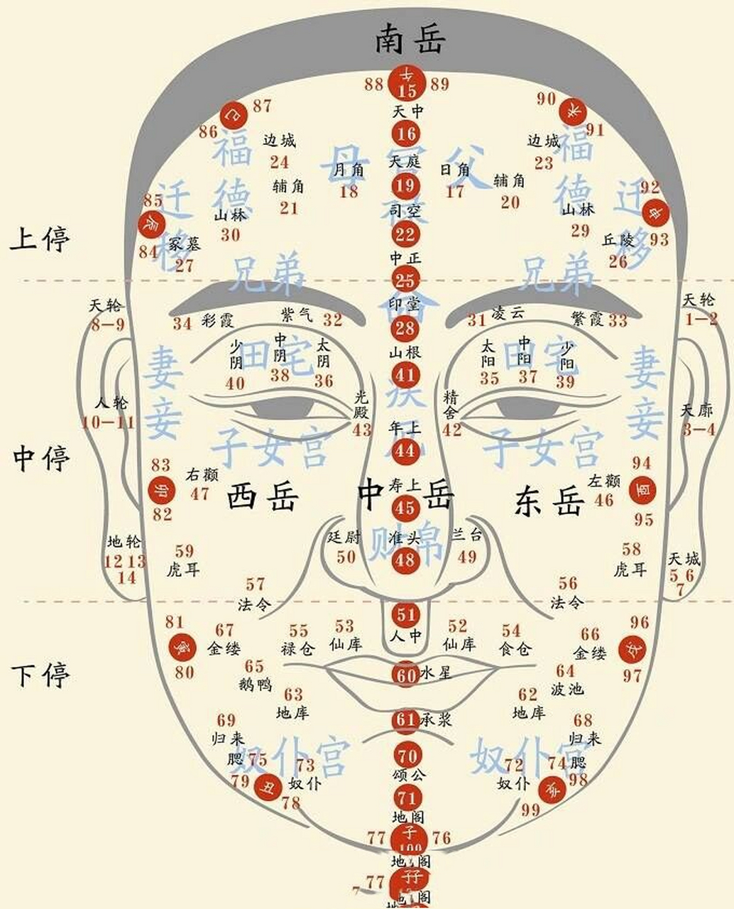 脸部看相位置名称图解图片