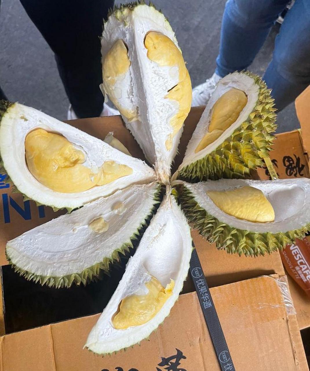 金阳泰国长柄榴莲a4,净果约14斤,价格到位2小开,欢迎来看货