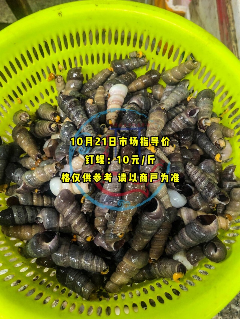 10月21日海鲜指导价|白藤头水产批发市场 10月21日市场指导价 濑尿虾