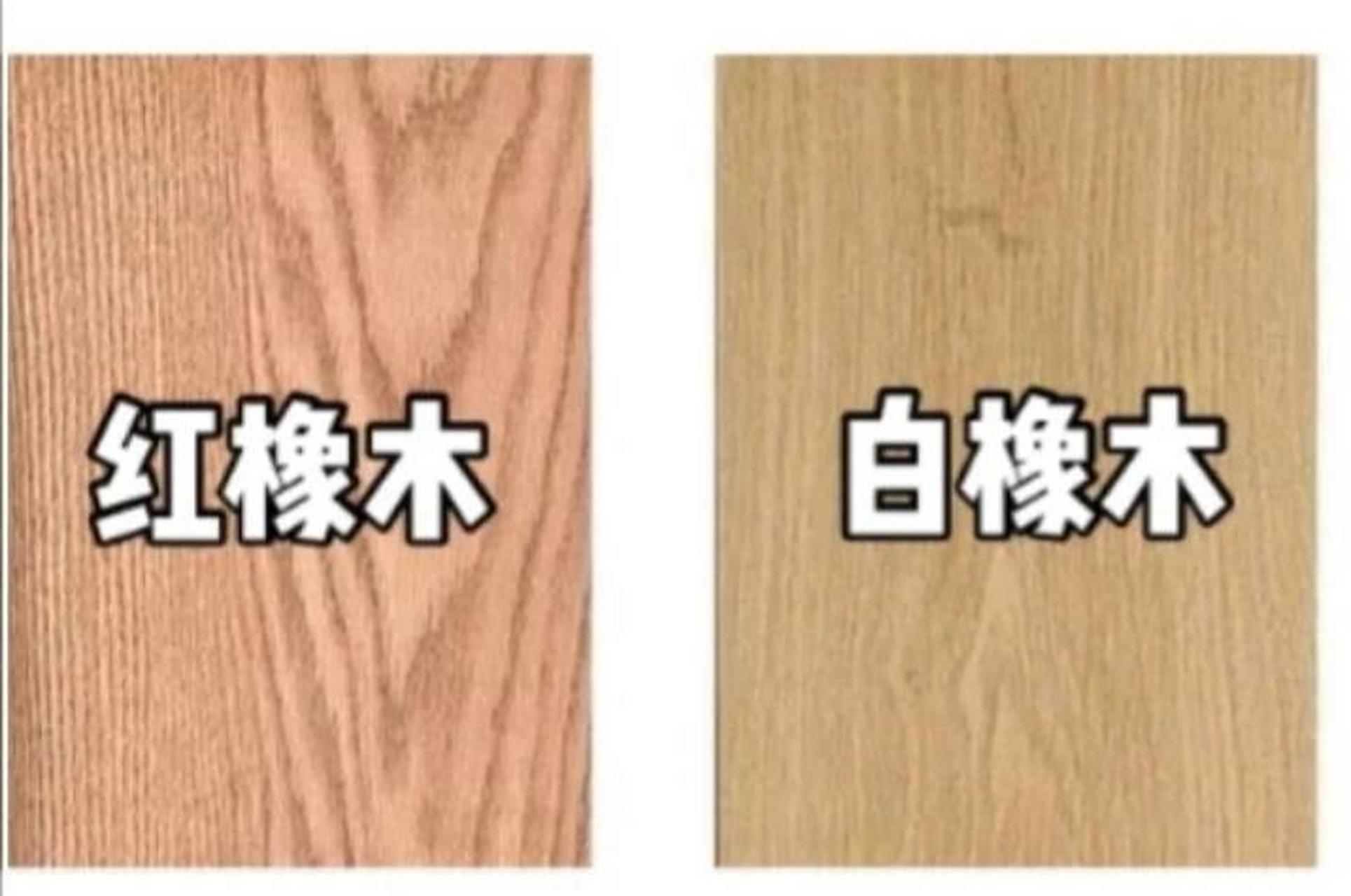白橡木和红橡木有什么区别 9090 白橡木和红橡木作为家具制作的