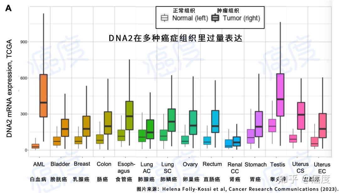 基因缺失图片