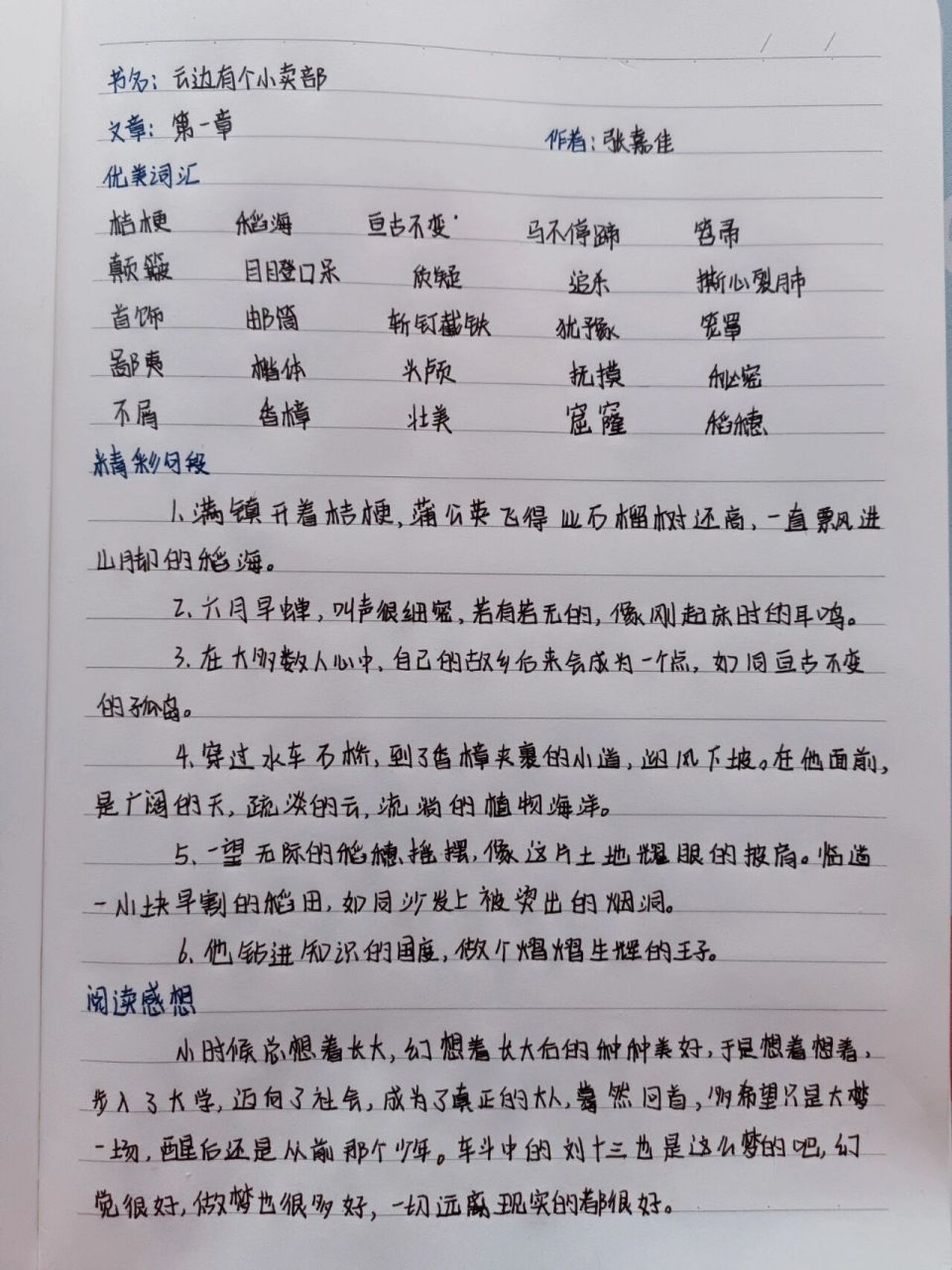 《云边有个小卖部》读书笔记 精彩句段94 1.