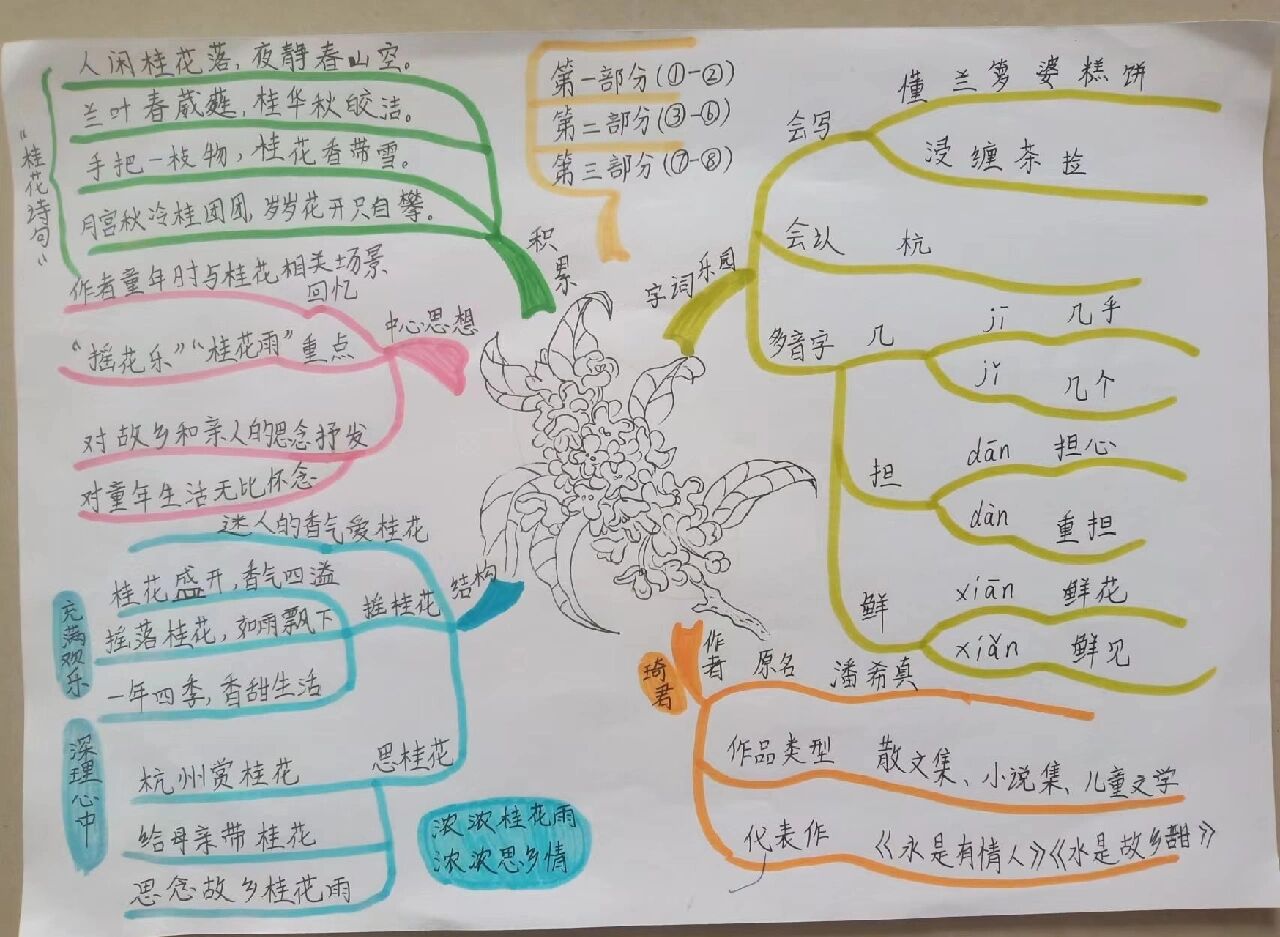 五年级上册《桂花雨》思维导图绘画