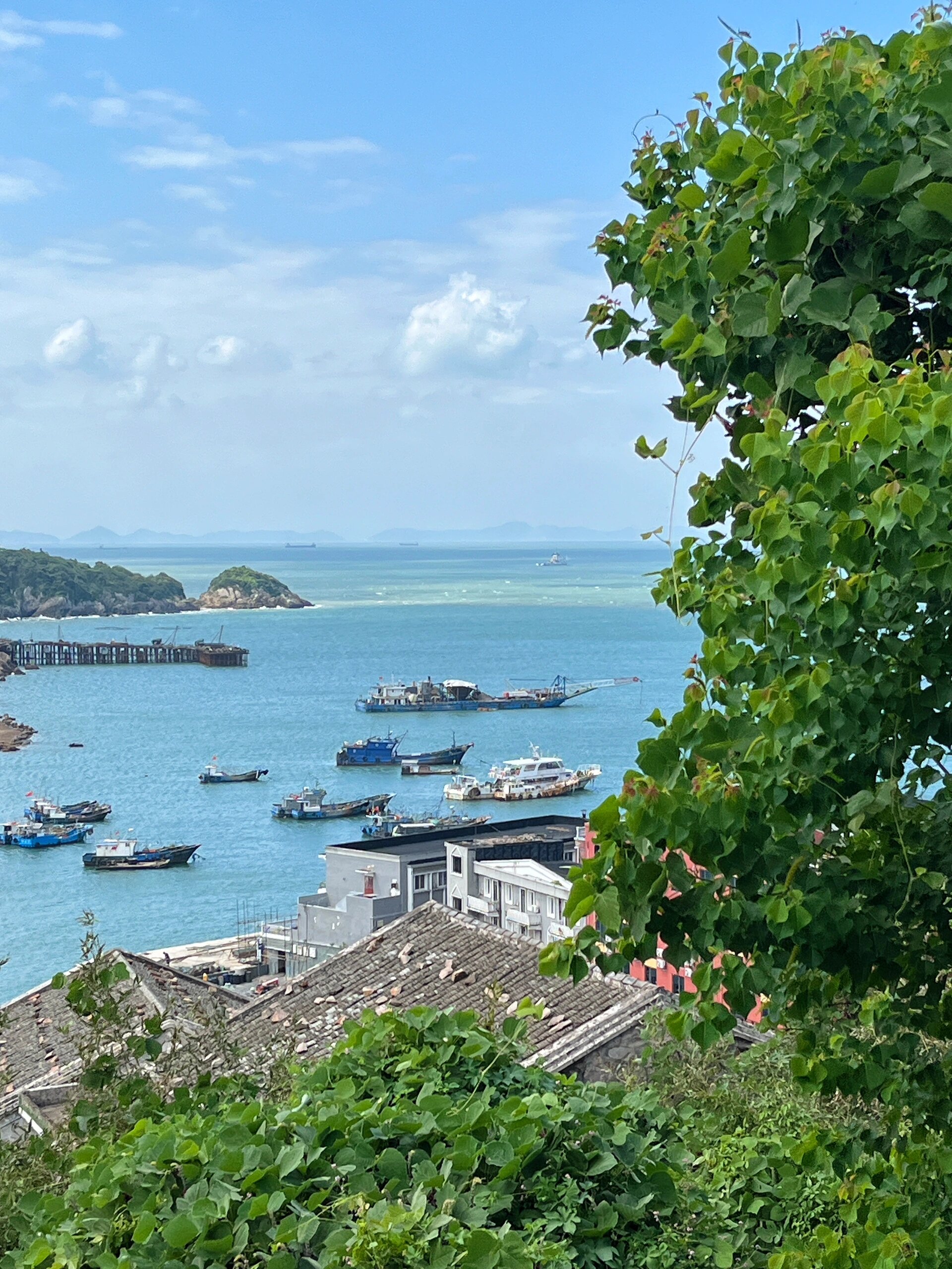 宝藏小众旅游目的地——台州大陈岛(附攻略)