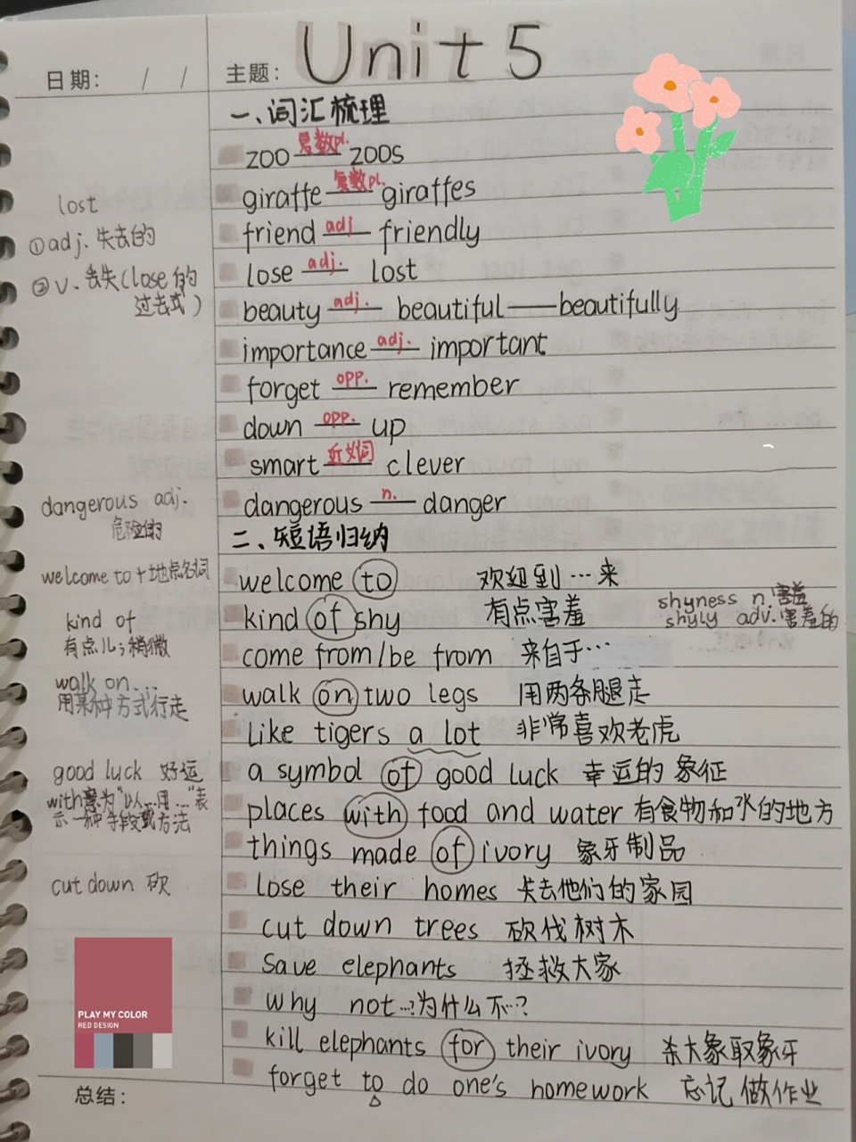 初一七年级下册英语第五单元笔记整理