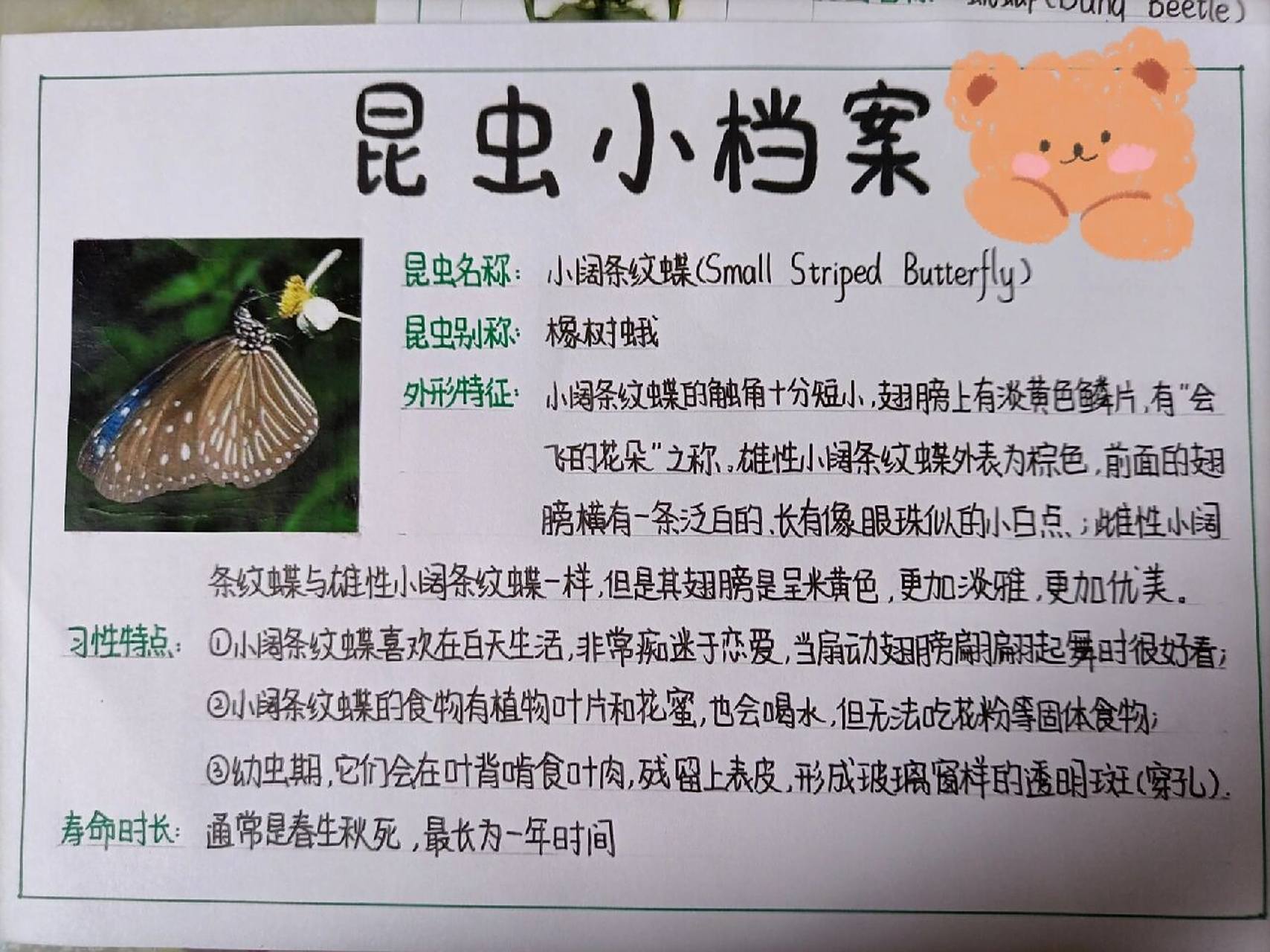 《昆虫记》的昆虫小档案/昆虫卡片 又更新啦(5/10) 每日更新哦 本篇