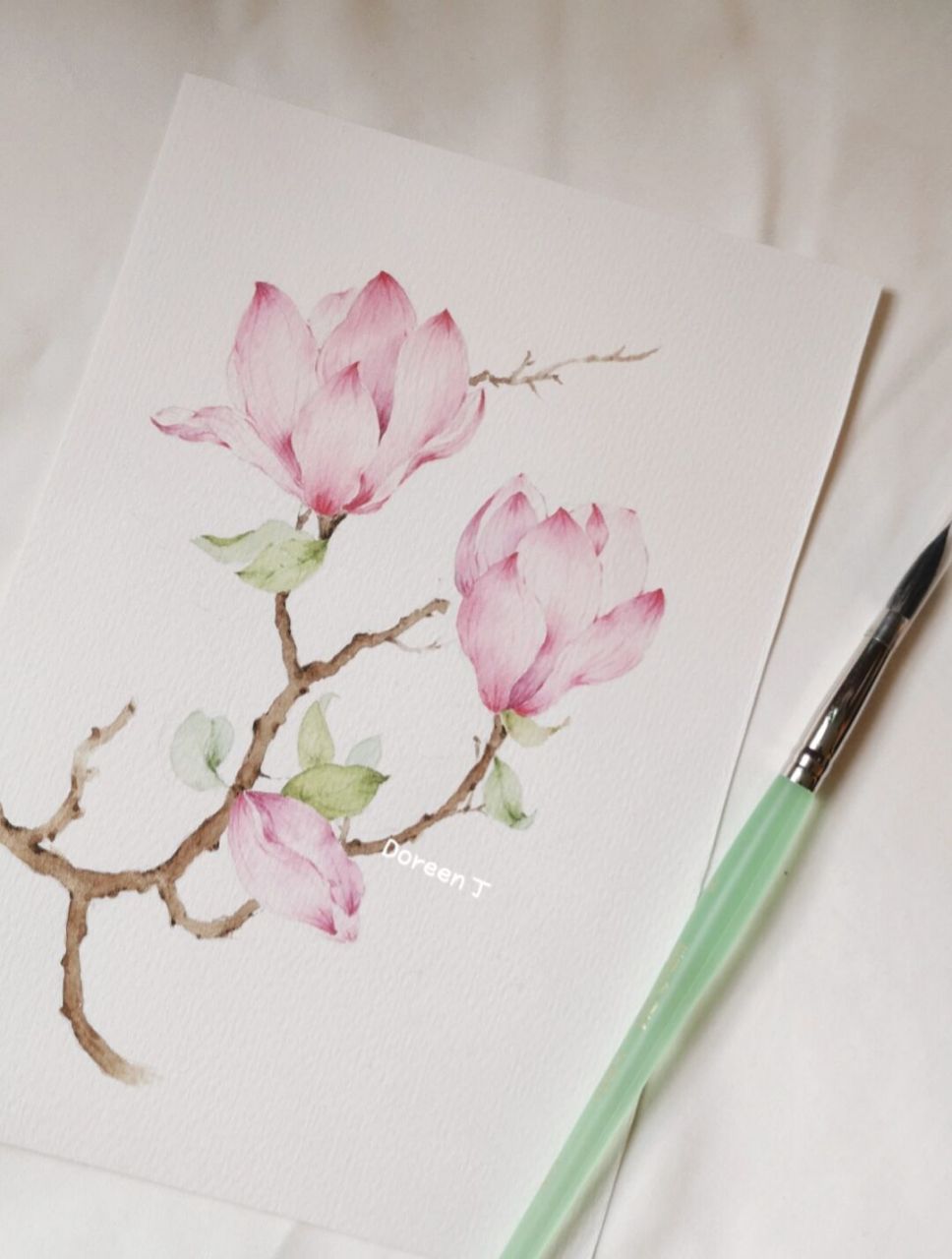 入门玉兰花水彩教程|春的温柔长满了枝头 春的温柔长满了枝头,美好的