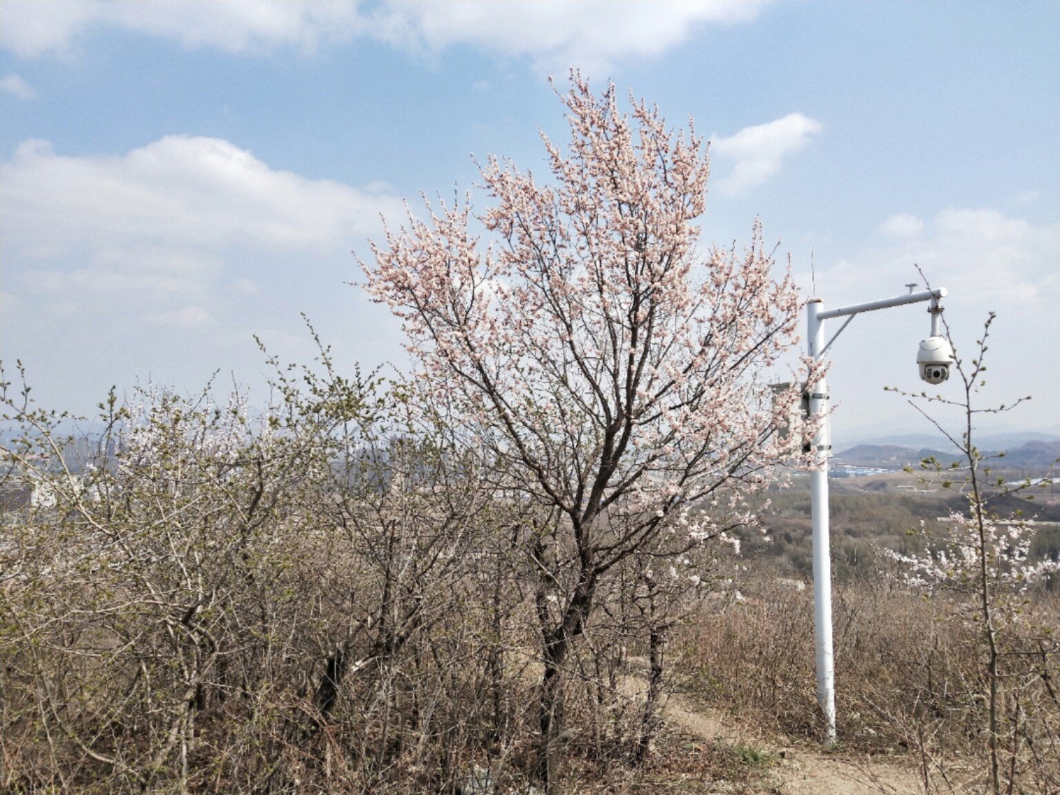 吉林市小白山公园简介图片