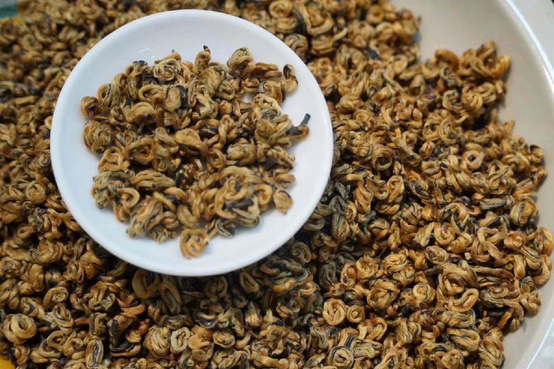 好茶分享第二十八篇-滇红金螺 滇红金螺是属于红茶类,而且是云南知名